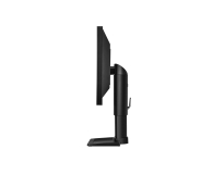 BenQ BL2411PT czarny - 149593 - zdjęcie 4